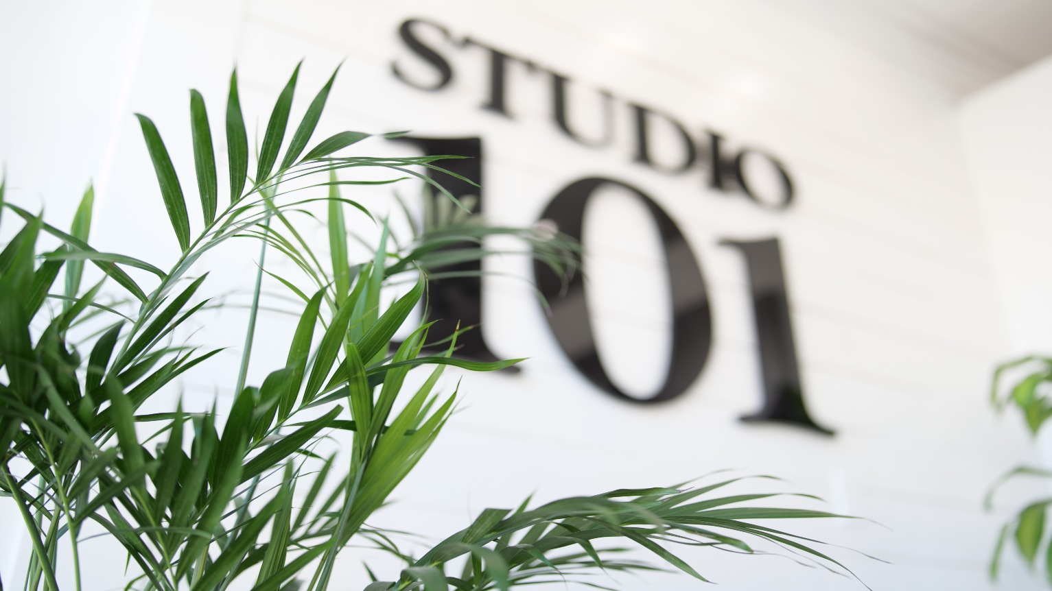Image of interior room of sapien designs